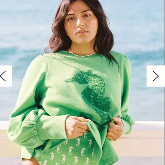 Anthropologie Tops - Anthropologie Maeve Seahorse Tufted Cotton Terry Sweatshirt Kelly Green Size 1X